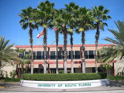 USF’s deplorable indifference to ugly anti-Semitism