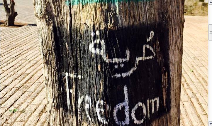 Student on ZOA Mission Seeks Peace in Nazareth