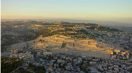 “In Their Own Words” ZOA College Mission to Israel