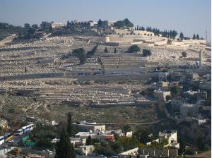 “In Their Own Words” ZOA Student Mission to Israel