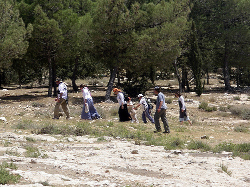 ZOA Criticizes ADL for Accepting Cong. Johnson’s Phony Apology for Calling Jews “Termites”