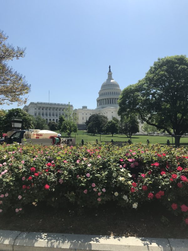 ZOA Lobbied for and Praises Enactment of the Anti-Terrorism Clarification Act of 2018