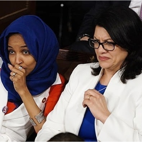 ZOA: AIPAC’s Demand that Antisemitic Israel-Haters Omar/Tlaib be Allowed to Enter Israel is Wrong