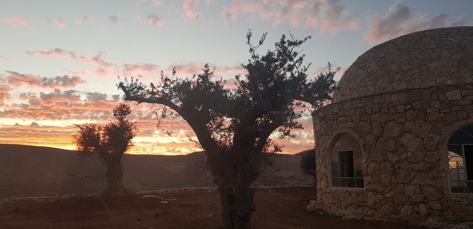 Zionist Organization of America (ZOA) Letter to PM Naftali Bennett  – Stop the Destruction of Arugot Farms!