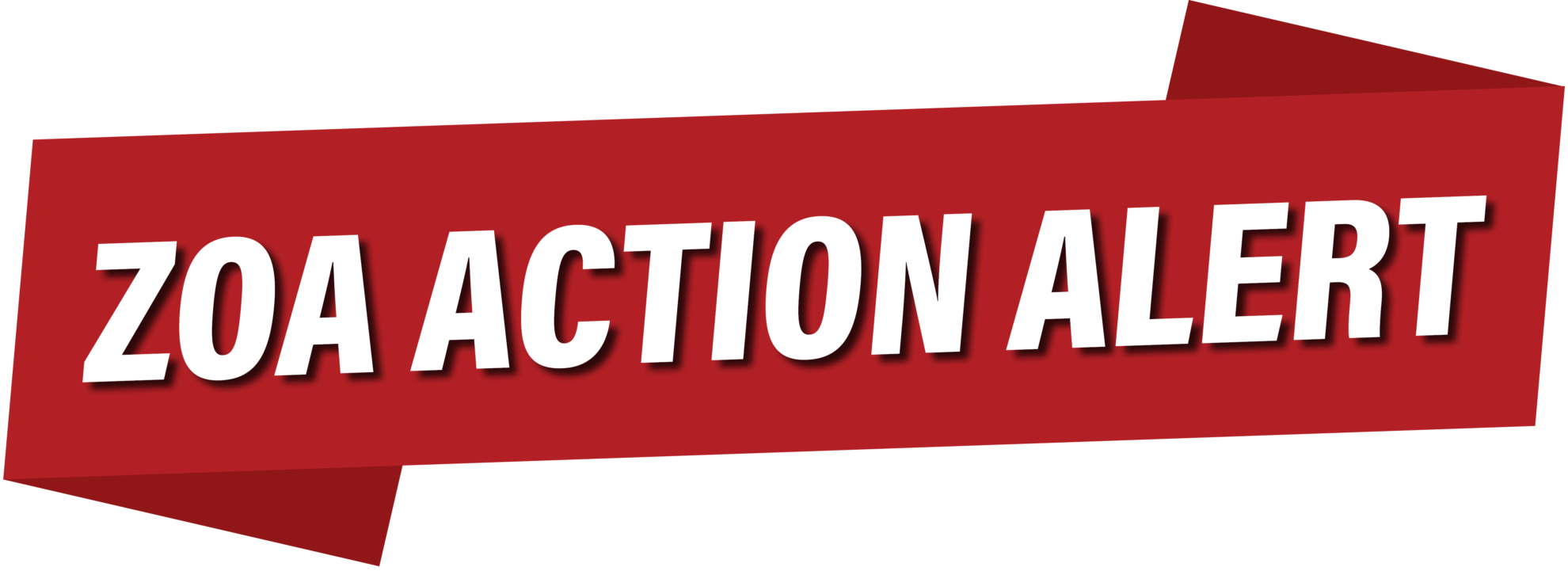 ACTION ALERT: Attend the Sentencing of Christopher Brown in NYC Tomorrow – Wednesday, November 20, 2024 – at 10 AM