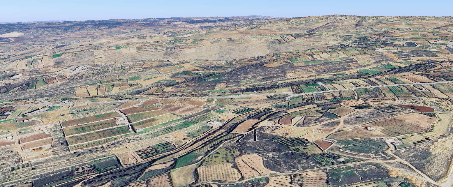 ZOA Praises Sen. Cotton/Rep. Tenney for Reintroducing “RECOGNIZING Judea and Samaria Act” and Asks other Jewish Groups and Rabbis to Urge its Passage